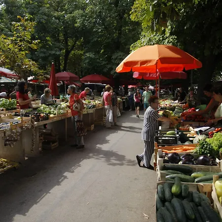 Pula City Center Accommodation - Breakfast Included-2